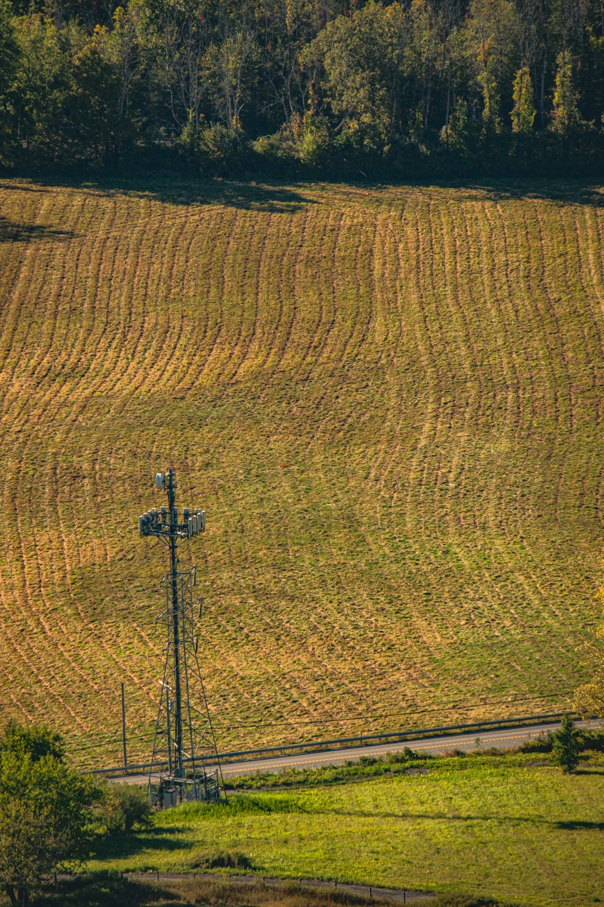 Aerial view of a cell tower at the edge of a green field